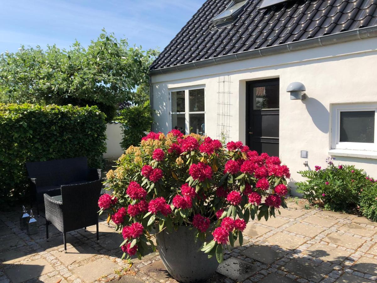 Helts B&B - Helts Guesthouse Herning Extérieur photo