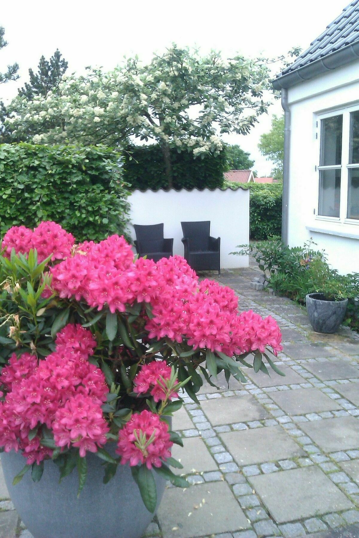 Helts B&B - Helts Guesthouse Herning Extérieur photo