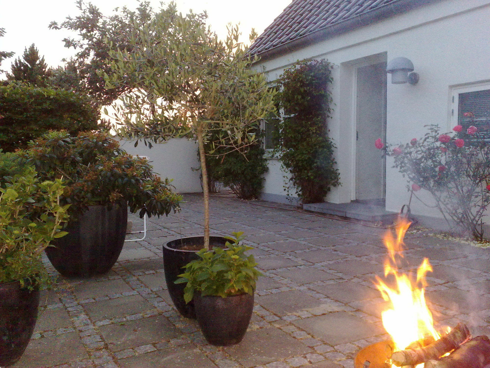 Helts B&B - Helts Guesthouse Herning Extérieur photo